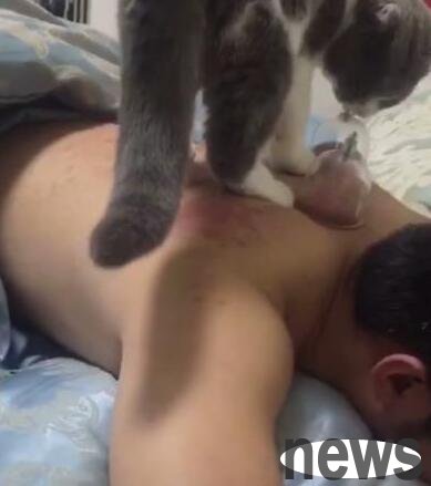 The owner is cupping, but the cat’s reaction makes the owner helpless. Netizen: Be careful if it unplugs your oxygen tank in the future.